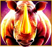 rhino image